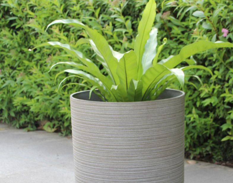 Plant Pot