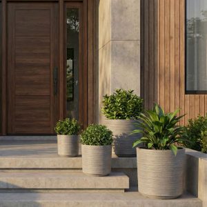 Lite Ribbed Set of 3