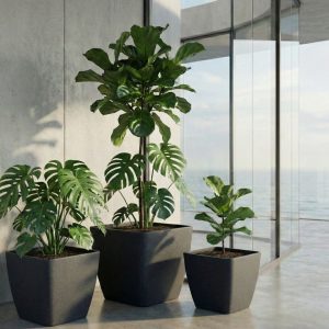 Lite Square Classic Set of 3